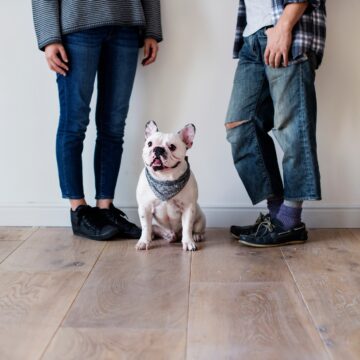 Asian couple with French bulldog