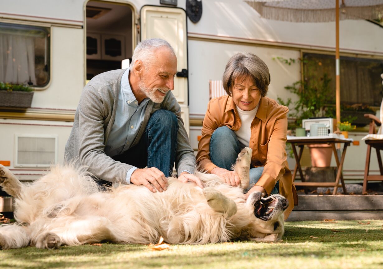 Caucasian senior couple playing walking their dog pet golden retriever together on porch of trailer