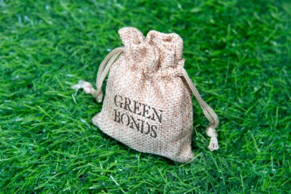 Closeup image of jute bag with the words "green bonds" on top of a green grass field.