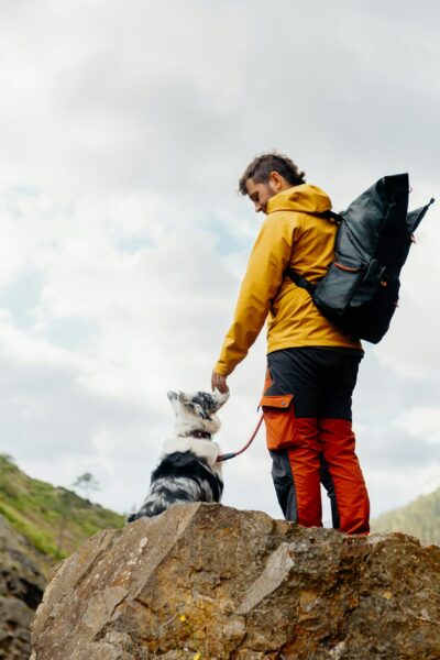 hiking with a pet