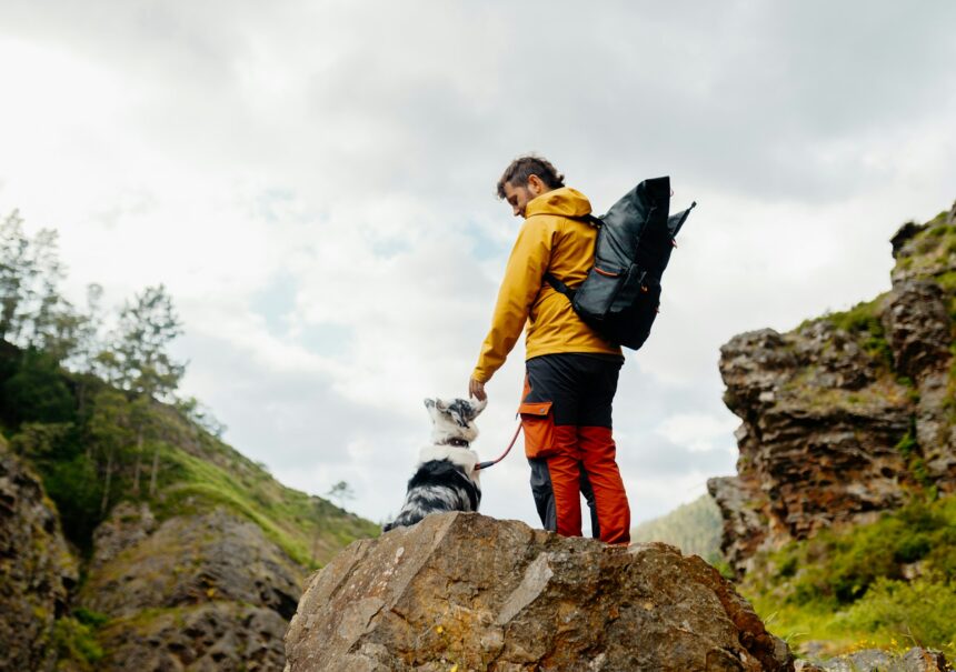 hiking with a pet