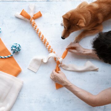 Top view of adult man making DIY homemade educational toys for dogs using fleece fabric stripes