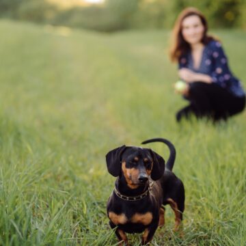 young girl on a walk with her dachshund
