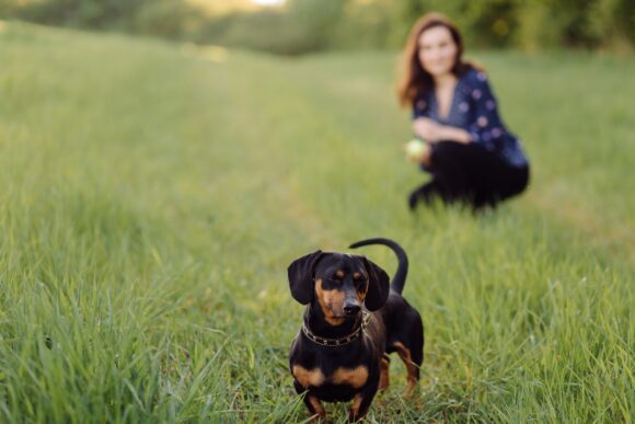 young girl on a walk with her dachshund